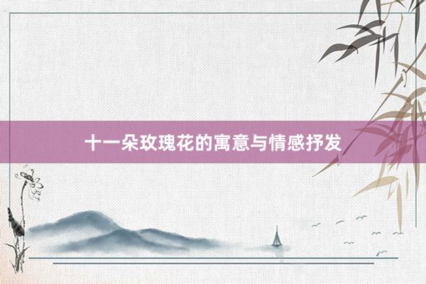 十一朵玫瑰花的寓意与情感抒发