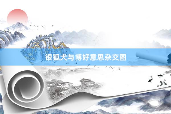 银狐犬与博好意思杂交图